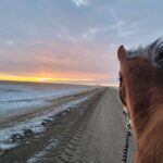 WhatsApp Image 2023-10-31 at 17.02.00_0b0e40b9