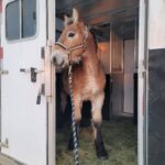 WhatsApp Image 2023-10-31 at 17.02.00_2b7f3774