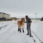 WhatsApp Image 2023-11-01 at 16.53.21_52374040