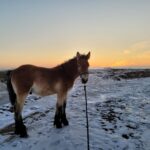 WhatsApp Image 2023-11-03 at 06.43.17_2a83f91d