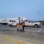 WhatsApp Image 2023-11-04 at 06.41.10_e5822f85