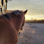 WhatsApp Image 2023-11-04 at 06.41.11_5183159f