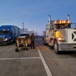 WhatsApp Image 2023-11-04 at 06.41.11_a8d1260f