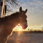 WhatsApp Image 2023-11-04 at 06.41.12_79ba0167