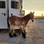 WhatsApp Image 2023-11-04 at 06.41.12_942f90a2