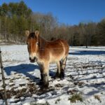 WhatsApp Image 2025-03-28 at 10.12.09_2b29b31a